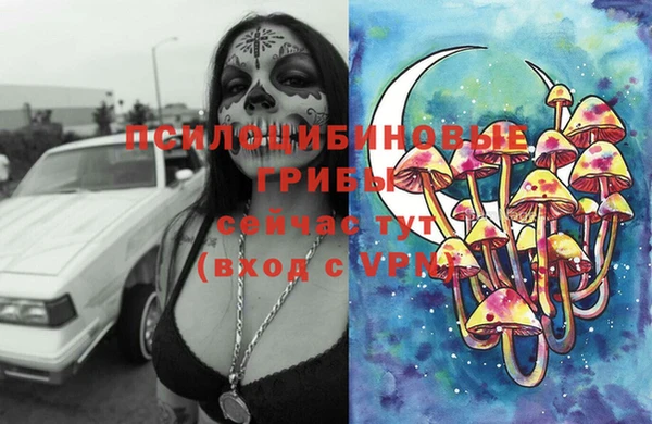 MDMA Premium VHQ Аркадак