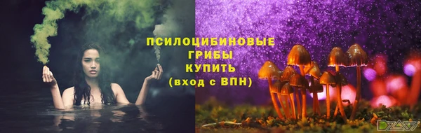 экстази Арсеньев