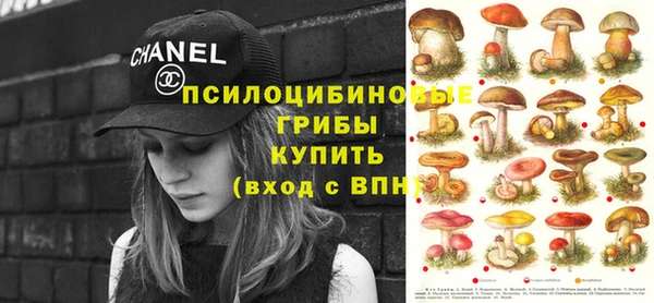 MDMA Premium VHQ Аркадак
