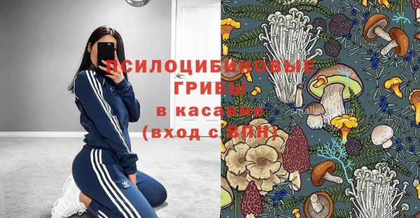 сатива Балабаново
