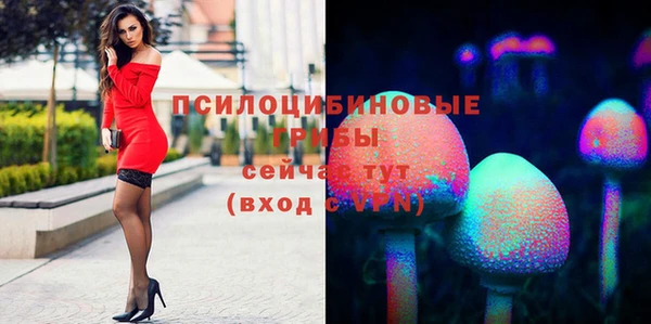 сатива Балабаново