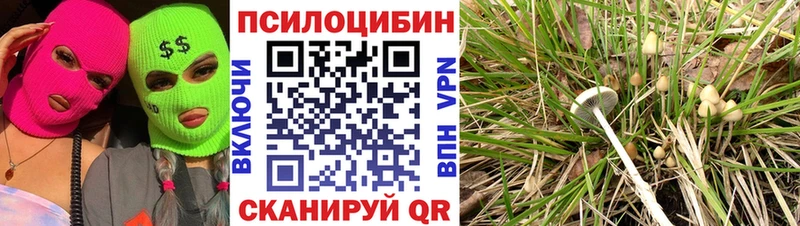 продажа наркотиков  Спасск-Дальний  Псилоцибиновые грибы Cubensis 